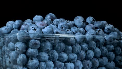 fresh blueberries in disposable plastic food pack on black background. close-up, camera rotation 360 degrees. bog bilberry, bog blueberry, northern bilberry or western blueberry (vaccinium uliginosum)
