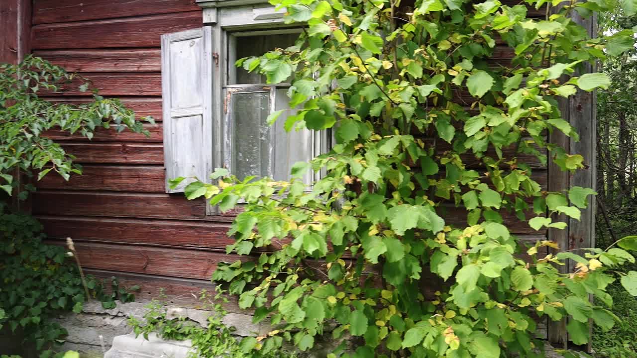 버려진 낡은 집 둘러보기