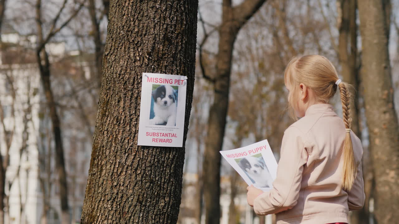 실종된 개 애완동물 수색 포스터를 들고 있는 아이