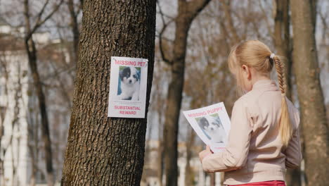 Ein-Kind-Mit-Einem-Poster-über-Die-Suche-Nach-Seinem-Vermissten-Hund