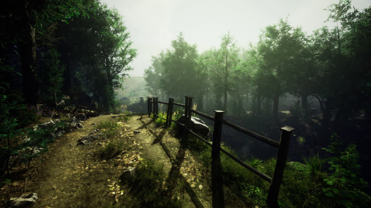 La nebbia avvolge il sentiero nel bosco, invitando all'esplorazione in una mattina tranquilla.