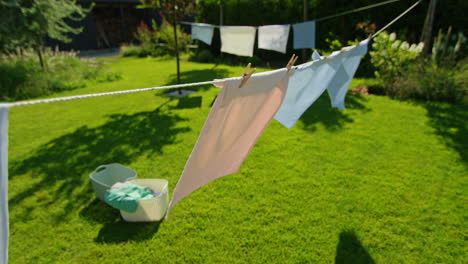 laundry drying in a backyard garden with dog