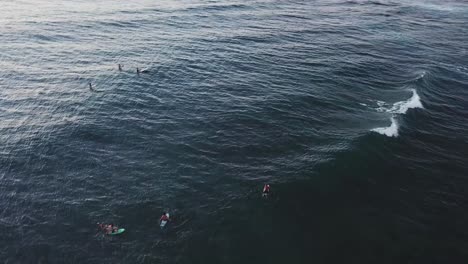 Disparo-De-Un-Dron-Sobre-Los-Surfistas-En-El-Agua-Frente-A-La-Costa-Norte-De-Oahu,-Hawai