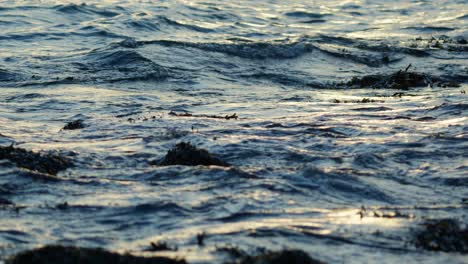 las olas rompiendo en un dique holandés durante la puesta del sol