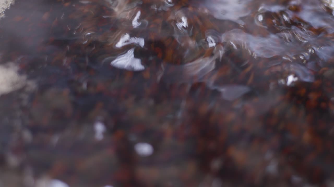 A detailed closeup of Tea in boiling water - Tea preparation for morning breakfast