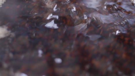 a detailed closeup of tea in boiling water - tea preparation for morning breakfast