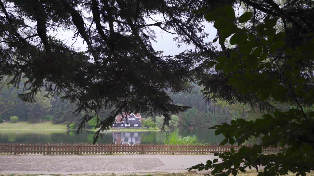 자연 속에서 자전거를 타는 자유로운 젊은이.