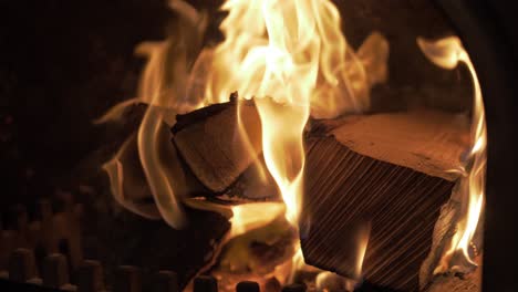 silver birch logs burning in stove