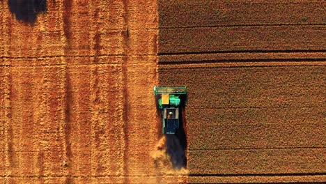 harvester machine working in wheat field during summer - aerial top down