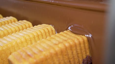 manufacturing of marble cake, coating the cake with liquid chocolate on a chocolate machine, dairy production, closeup