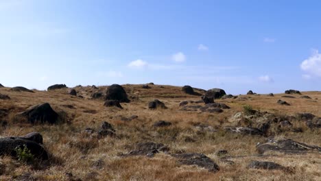 paisaje montañoso rocoso con cielo azul brillante por la mañana desde un ángulo plano
