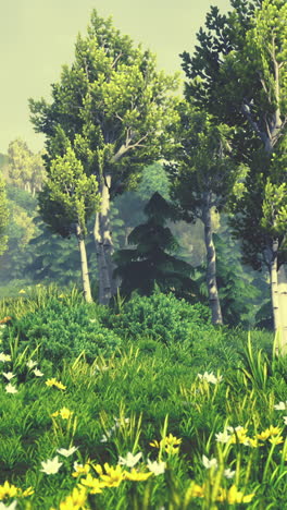 hermoso paisaje forestal