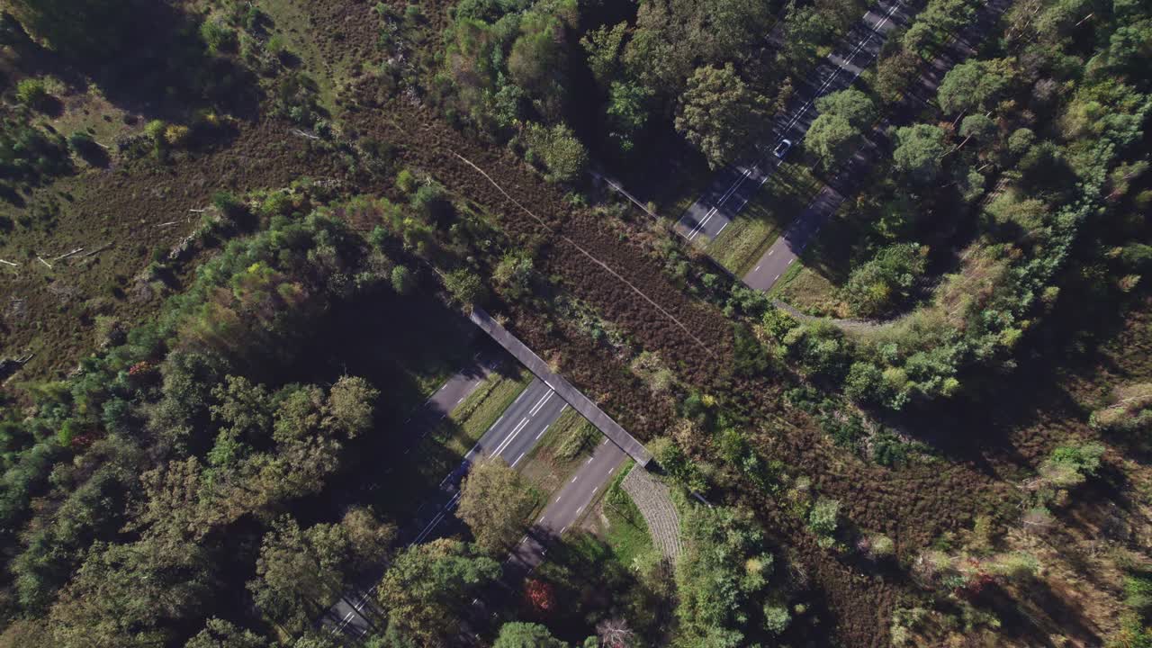Cars passing underneath forest wildlife crossing Twilhaar near Nijverdal forming a safe natural corridor bridge for animals between conservancy areas.