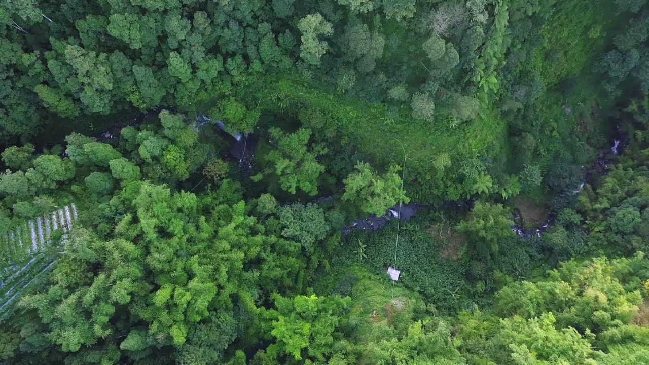 vista superior ascendente de hermosas montañas verdes en crecimiento con río flotante en el valle - plantación y cultivo en indonesia