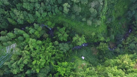 ascending top view of beautiful green growing mountains with floating river in the valley - plantation and cultivation in indonesia