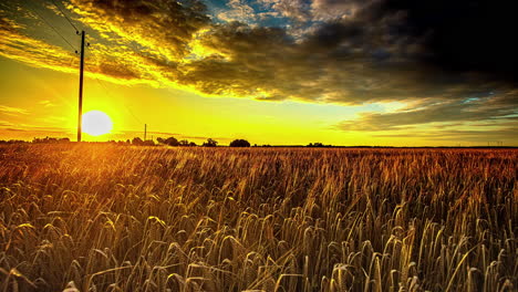 impresionante lapso de tiempo de la hora dorada de la puesta de sol con vibrantes cielos amarillos y naranjas sobre el pintoresco paisaje agrícola