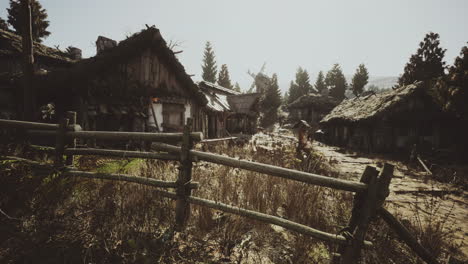 abandoned village with rustic houses and overgrown vegetation in daylight