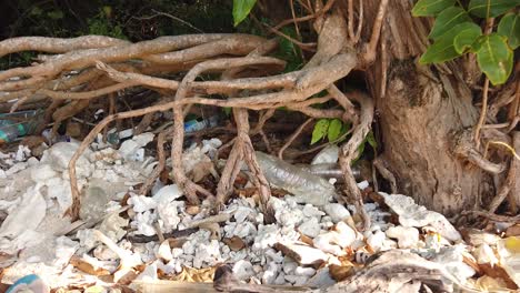 Botellas-De-Plástico-Arrastradas-Hasta-Las-Raíces-De-Los-árboles-En-La-Costa-De-Una-Isla-Tropical-Remota-En-Andamans-En-India