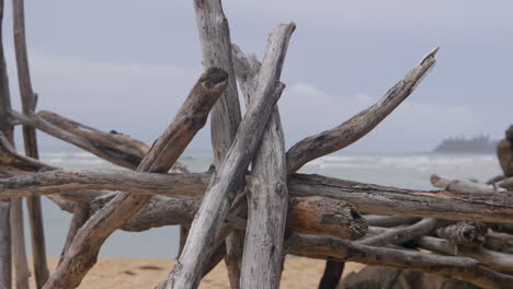 shelter made from driftwood on a deserted island inhabited by castaways