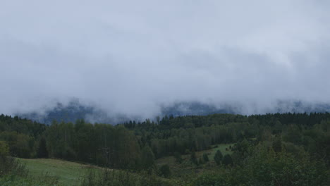 misty mountain forest landscape