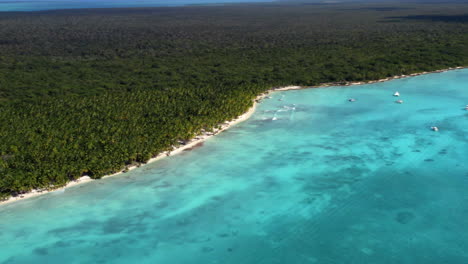 costa del mar de la selva tropical con palmeras y barcos, isla saona