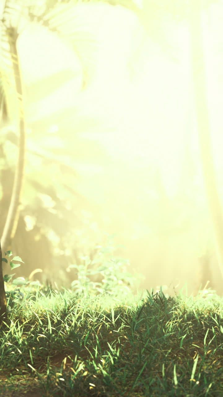 Sunlight filters through lush greenery in a tranquil forest setting