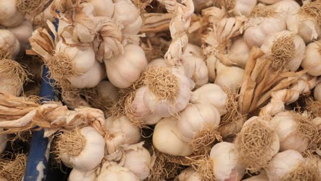 los racimos de ajo