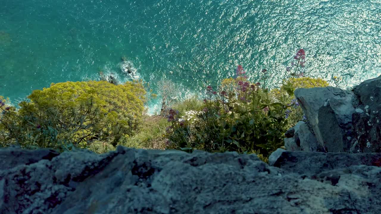 산테 코르니글리아 (terre cinque corniglie) 는 바위, 나무, 파도와 함께 경치 좋은 해안 풍경입니다.