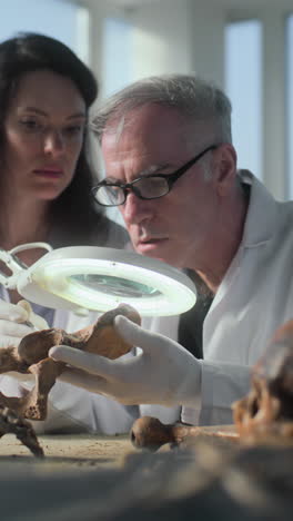 scientists examining ancient bone fragment