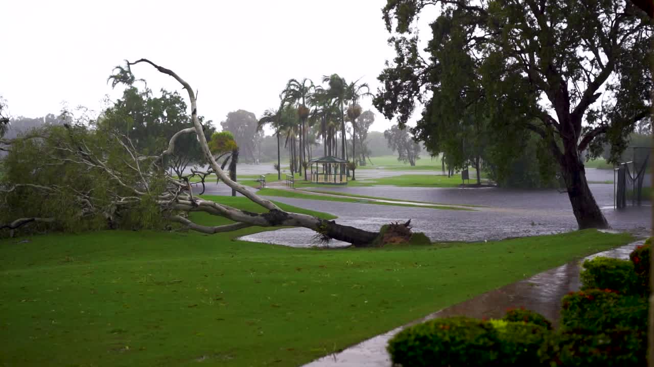 campo de golf durante la lluvia intensa, árbol caído en segundo plano.