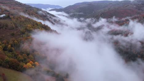 aerial view over a countryside valley of trees filled with clouds on a foggy day in autumn, romania, marisel, reveal shot