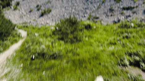 establishing aerial scree covered mountainside