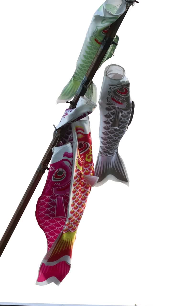 Koinobori colorati che sventolano al vento