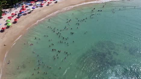 Bird's-eye-aerial-drone-view-of-the-popular-tropical-Coquerinhos-beach-covered-in-umbrellas-with-tourists-swimming-in-a-natural-pool-from-a-reef-blocking-small-waves-in-Conde,-Paraiba,-Brazil