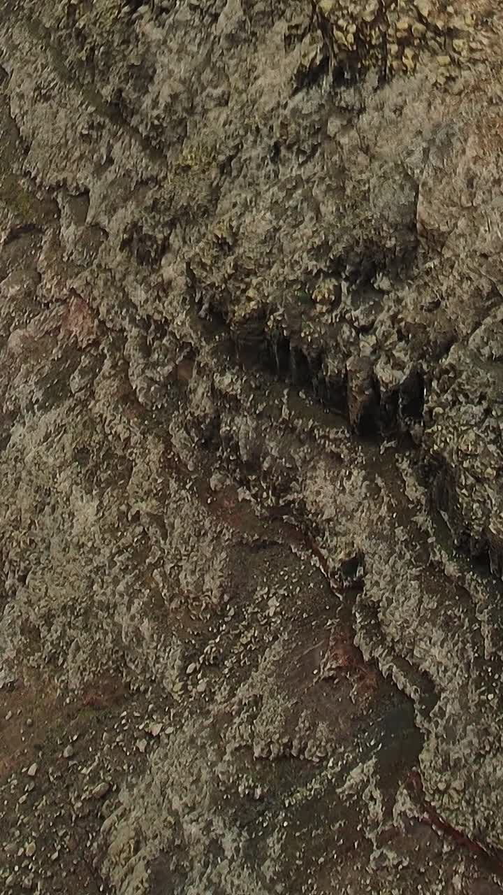 Terra vulcanica scura e modelli di vegetazione arida
