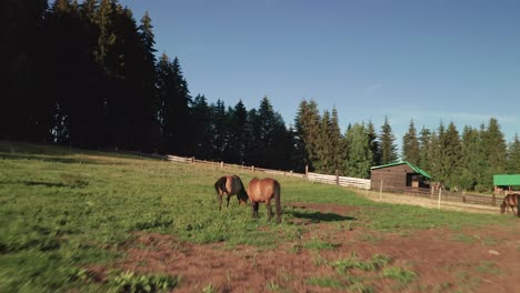 Luftdrohne-Enthüllt-Aufnahme-Einer-Wunderschönen-Landschaft-In-Sihla,-Zentralslowakei