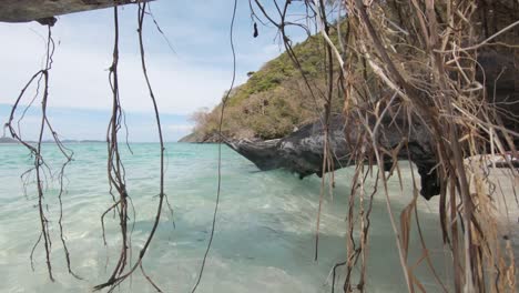 Rotten-tree-trunk-fallen-above-paradisiac-shoreline-in-Koh-Hey-,-Thailand---Wide-push-in-through-shot