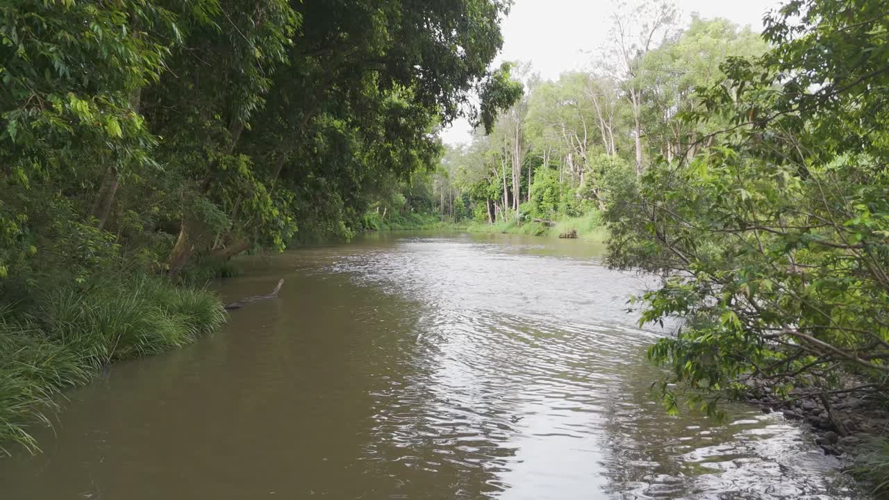 un río tranquilo rodeado de exuberante vegetación