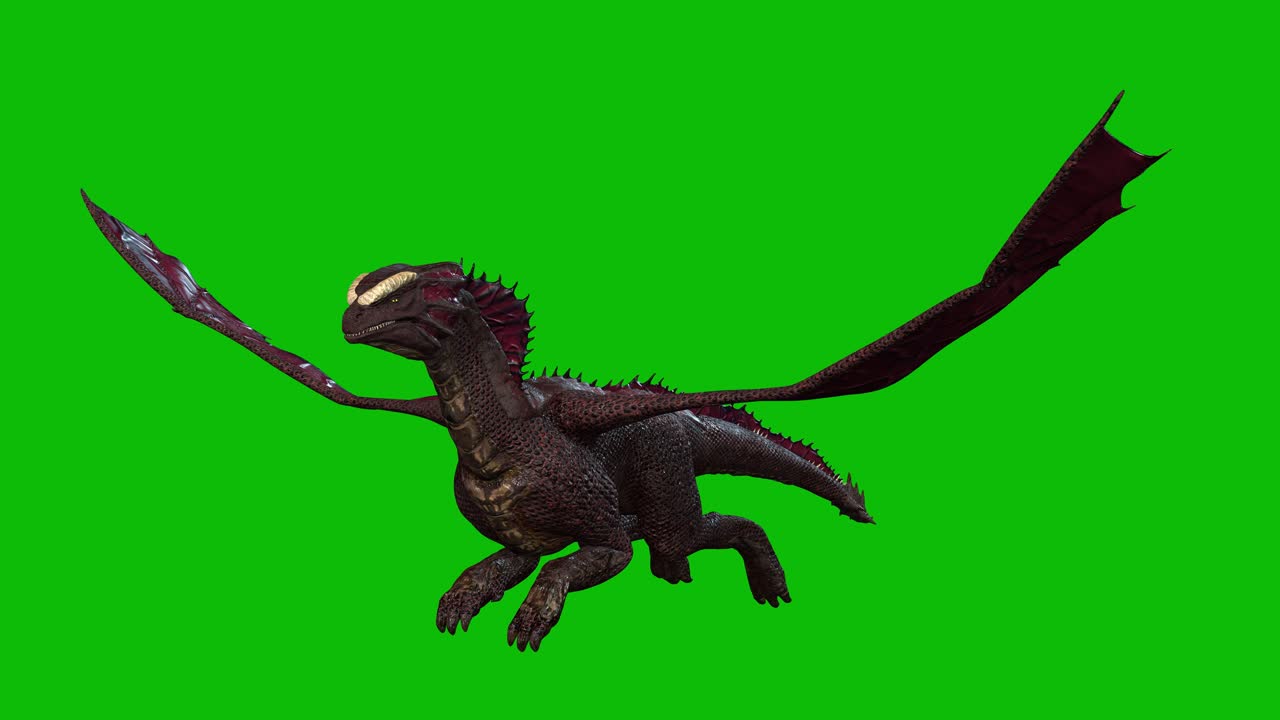 Dragon fantasy creature, monster, glide on green screen, perspective view seamless loop 3D animation.
