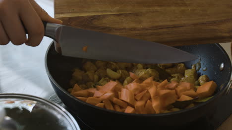 chicken and carrot stir-fry recipe