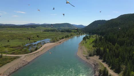 Antenne-4k-Slow-Mo-60fps-Vogelschwarm-Im-Grand-Teton-Nationalpark,-Wyoming,-USA