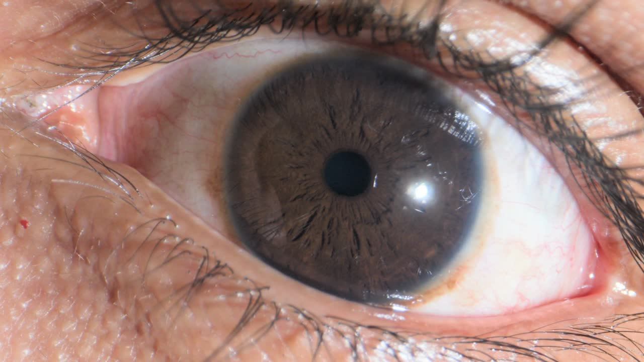 인간 눈 극단적 인 근접 뷰