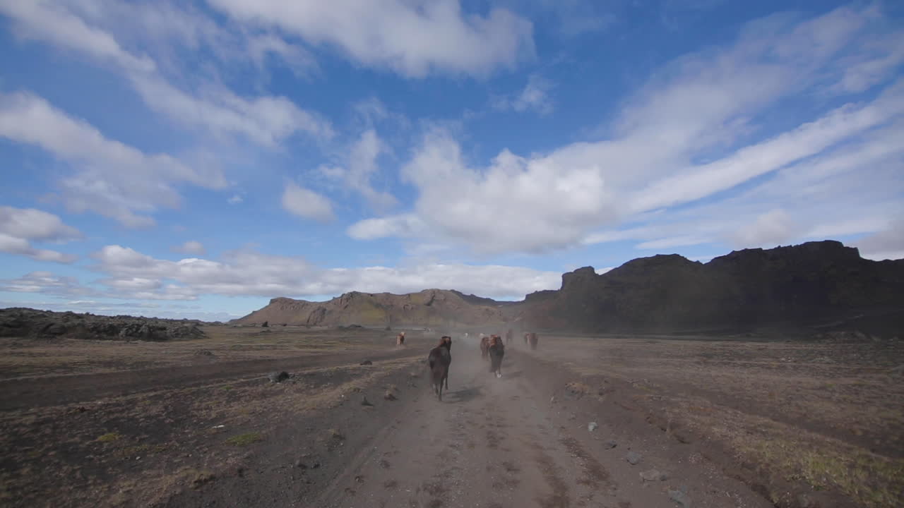 Horses in a volcanic landscape