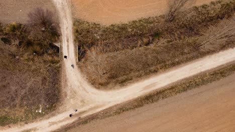 Cantarranas,-dry-river-in-Spain