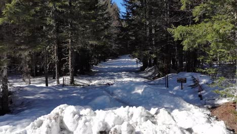 Drone-shot-flying-over-a-snowy-road-in-a-forest