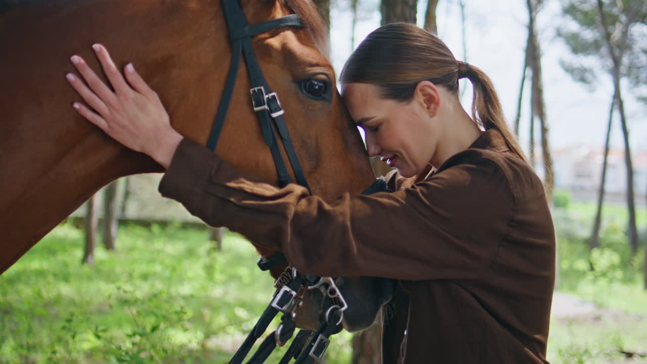 Equestrienne horse love moment at summer woodland closeup. Woman stroking animal