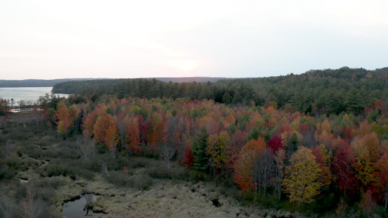 disparos de drones sobre humedales y coloridos bosques de otoño al atardecer