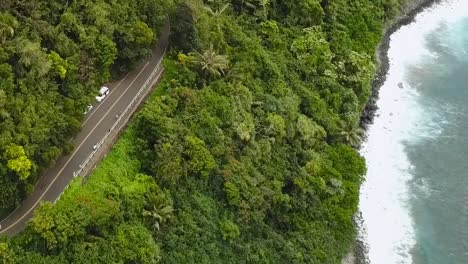 drone aerial garden landscape beach side maui road to hana