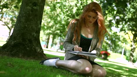 Lovely-smiling-redhead-doing-assignments-sitting-on-lawn