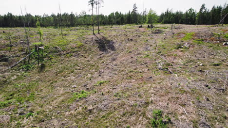 Aerial-reverse-dolly-above-empty-hillside-devoid-of-trees-due-to-logging